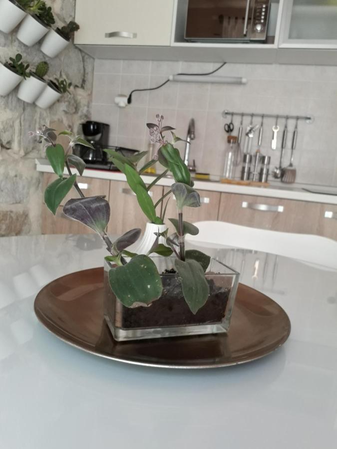 Leut Apartment Korčula Eksteriør bilde