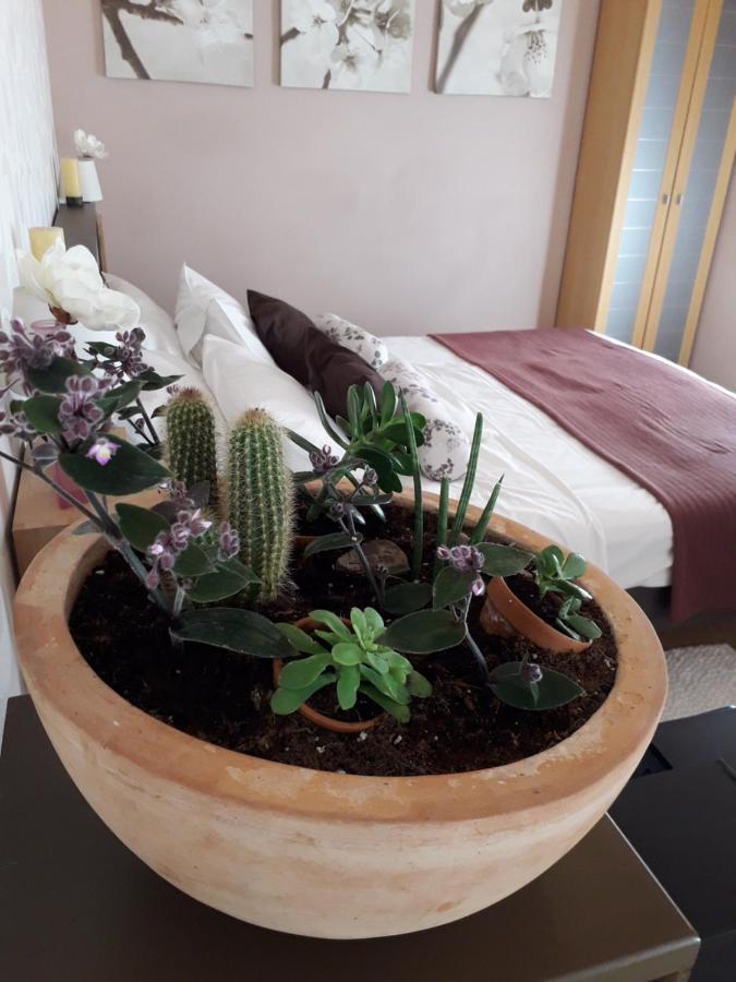 Leut Apartment Korčula Eksteriør bilde